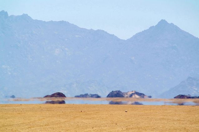 desert-mirage.jpg.638x0_q80_crop-smart