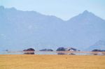 desert-mirage.jpg.638x0_q80_crop-smart